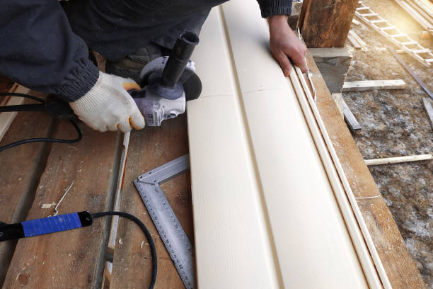 Best Siding Painting and Refinishing  in Orange City, IA
