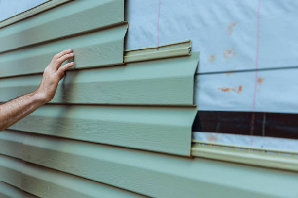  Orange City, IA Siding Pros